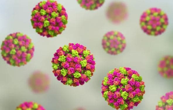 Çfarë është norovirusi dhe sa zgjat?
