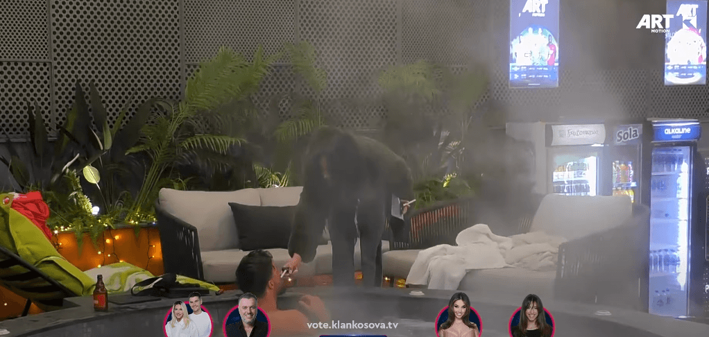 Lumbardhi në nevojë për t'ia ndezur duhanin, ia këndon Kaderit këngën "Kallma cigaren" (VIDEO)