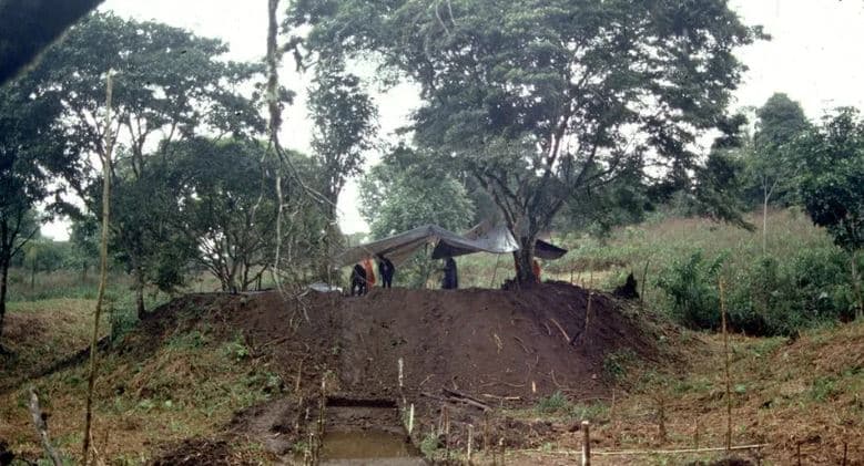 Gjendet një qytet i madh antik në Amazonë