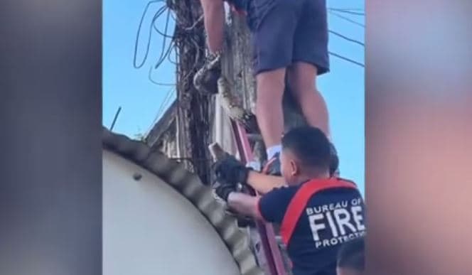 Zjarrfikësit kapin gjarprin e mbështjellë rreth telave të rrymës në Filipine (VIDEO)