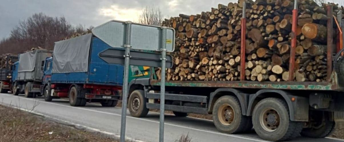 Ndalohen katër kamionë me drunj, falsifikonin dokumentet e transportit të tyre