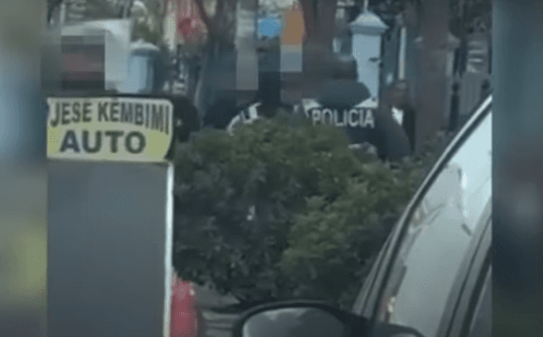 Trafik kanabisi nga SHBA në Shqipëri me postë, dy të rinj në pranga