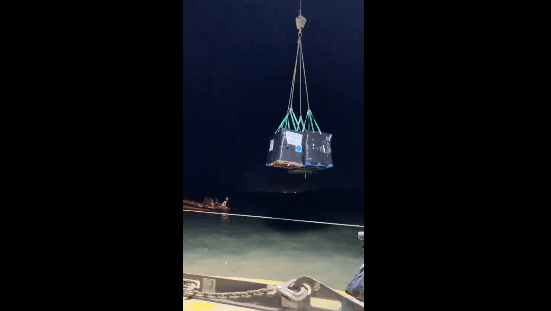 Mbërrijnë afro 200 ton ndihma humanitare në Gaza (VIDEO)