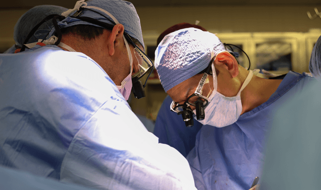 Veshka e derrit transplantohet për herë të parë te një person i gjallë