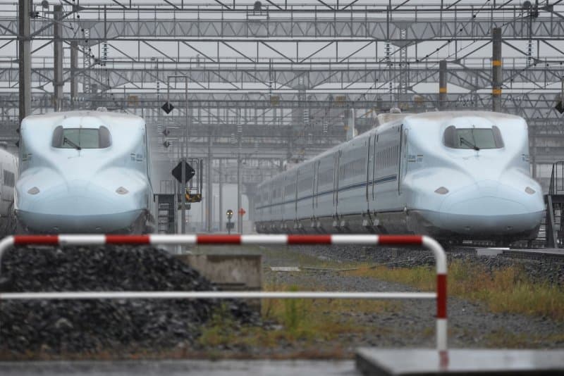 Gjarpri shkakton vonesë për trenin në Japoni