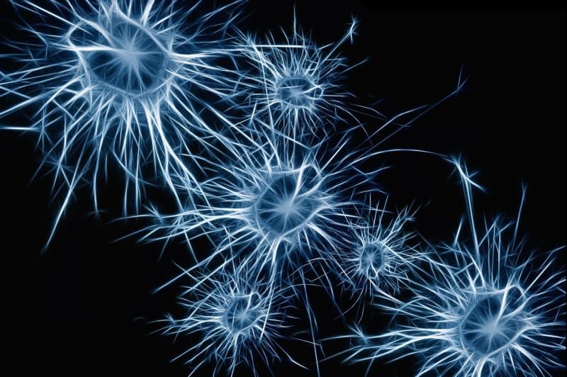 ADHD shpesh nuk zbulohet tek të rriturit, thonë ekspertët