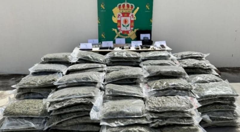 Arrestohet i riu shqiptar në Spanjë, sekuestrohen mbi 190 kg marijuanë