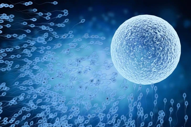 Prova e xhelit hormonal tregon premtime për kontrollin e lindjeve për meshkuj