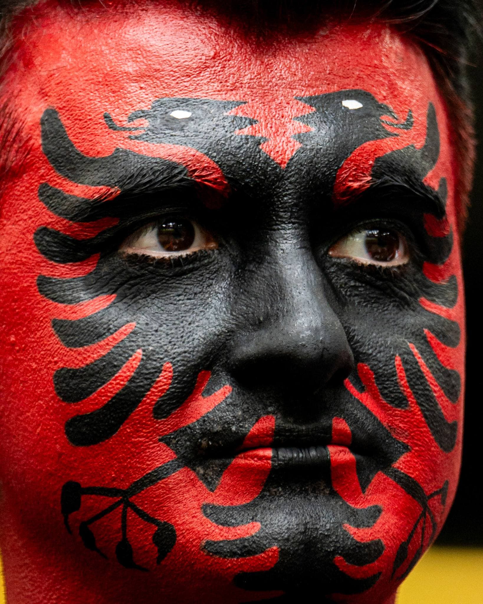 UEFA publikon fotot e tifozëve me shqiponjën "Kuq e Zi" të pikturuar në fytyrë