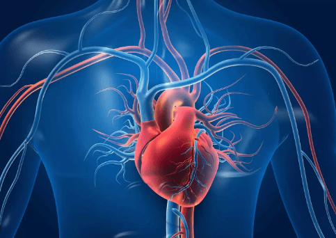 Fibrilacioni atrial rrit me 68% rrezikun e demencës, dyfishon mundësitë edhe për sulm në tru