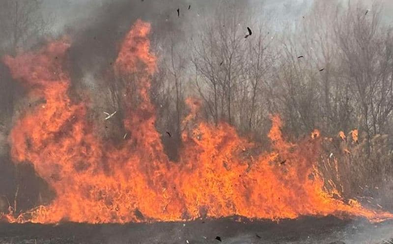 Zjarr në Suharekë, digjet një sipërfaqe prej rreth 10 hektarësh