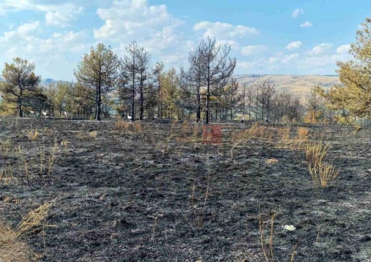 12 zjarre aktive në territorin e Maqedonisë së Veriut