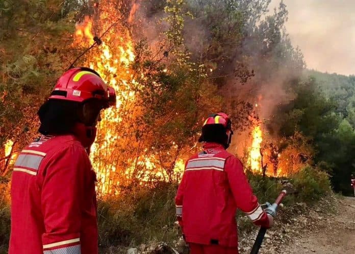 Shuhen 36 vatra zjarri në Shqipëri, 11 mbeten aktive