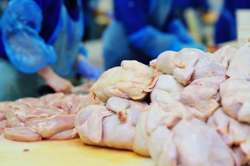 Ndryshimi i klimës lidhet me rritjen e rrezikut të bakeres salmonella