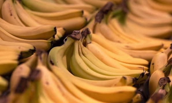Gjenden rreth 50 kilogramë drogë në dërgesat e bananeve në Francë