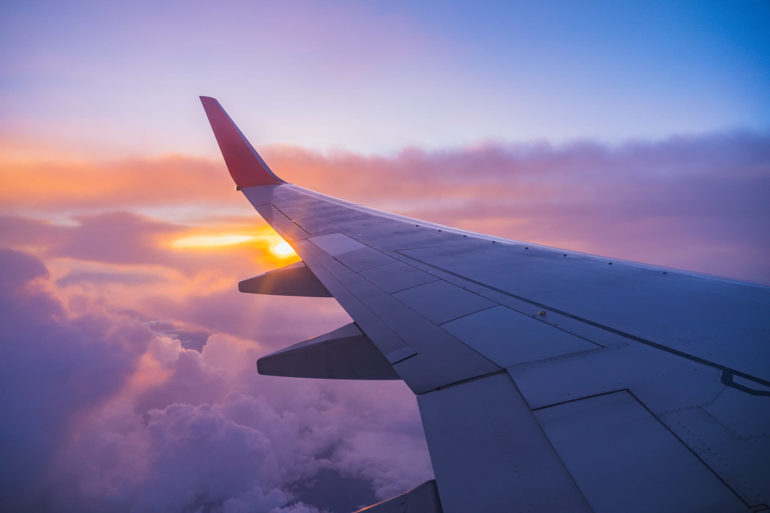 Aeroplani bën ulje emergjente, miu surprizon pasagjeren gjatë fluturimit!