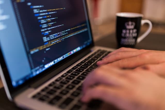 Programuesit sot festojnë ditën e tyre