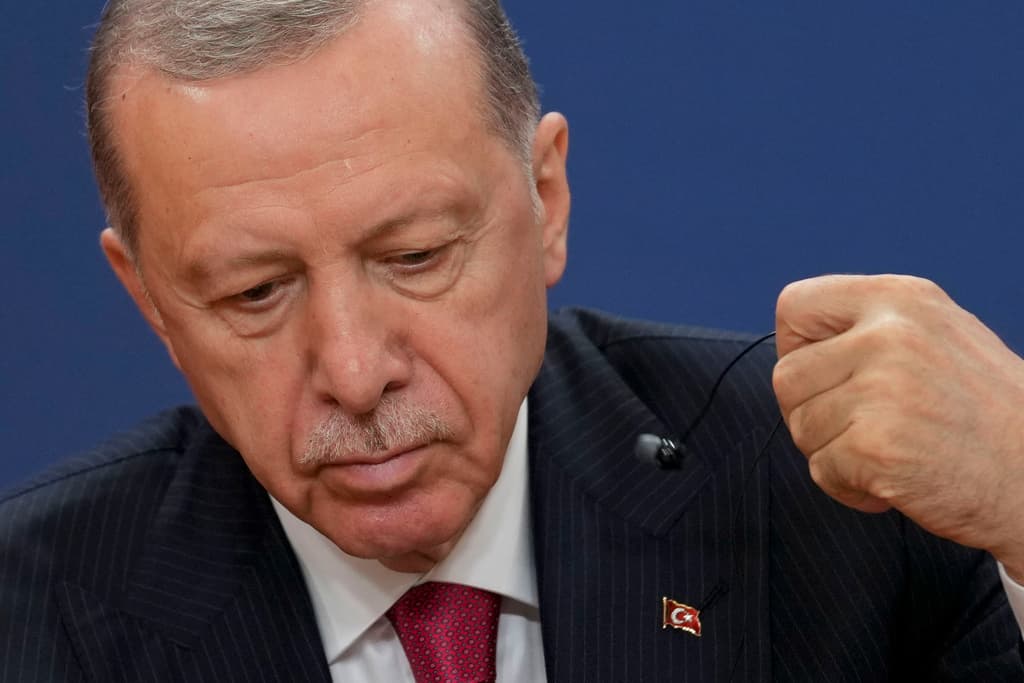 Erdogan dënon protestat në Turqi, dhjetëra persona të arrestuar