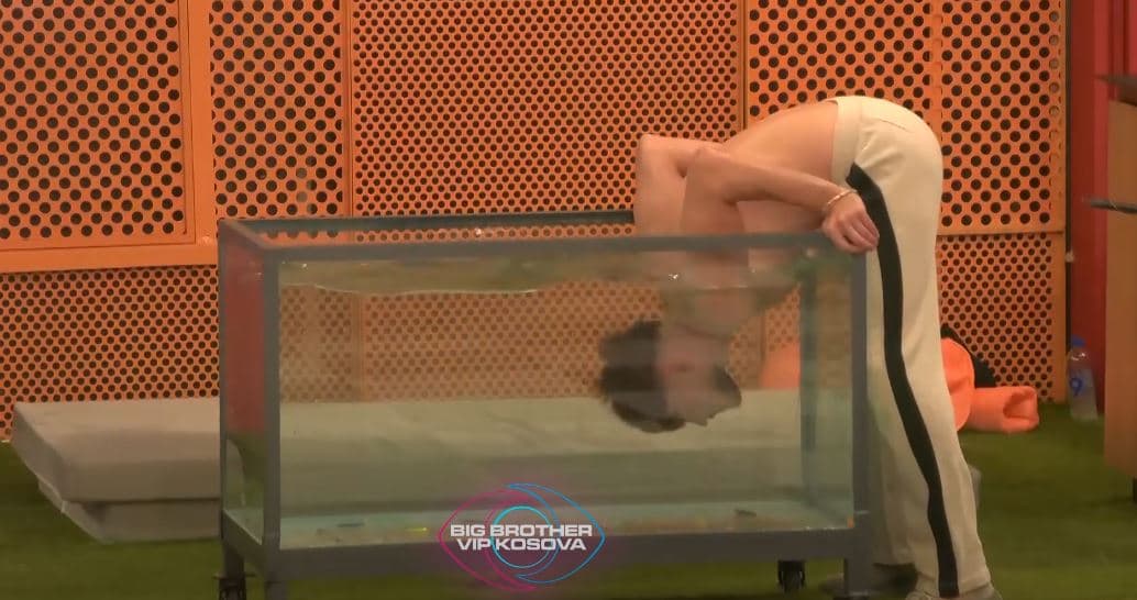Sfida e buxhetit, banorët duhet të kapin peshqit në akuarium