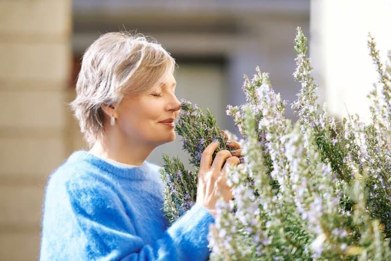 Aroma që zbulohet në milisekonda, studimi rrëzon mite mbi shpejtësinë e nuhatjes