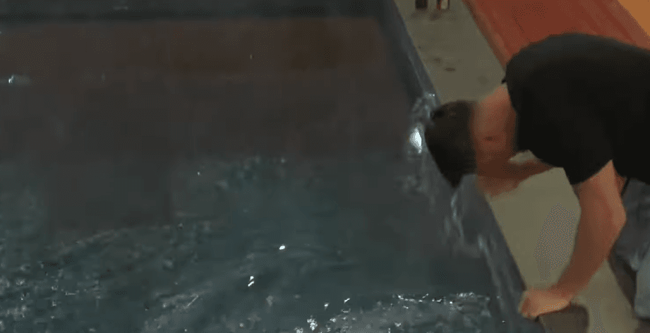 Humb bastin, Driloni fut kokën në ujin e pishinës (VIDEO)