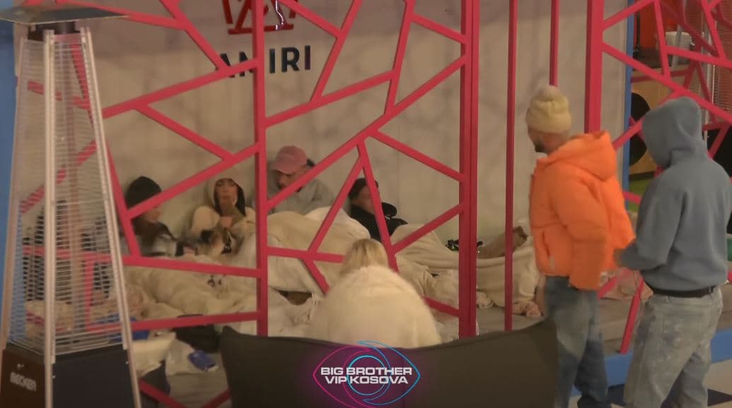 Gjesti ngacmon banorët brenda kafazit (VIDEO)