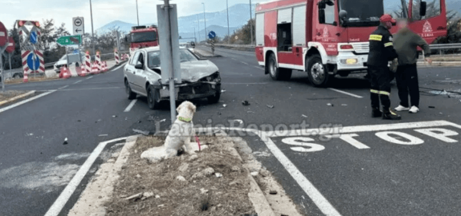 FOTOLAJM: Qeni priti në heshtje kthimin e pamundur të pronarit