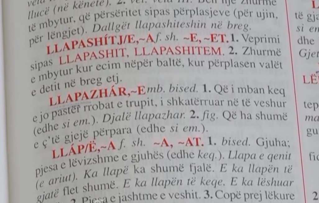 Në Ditën e Alfabetit, prezantohet projekti për Fjalorin e ri të Gjuhës Shqipe