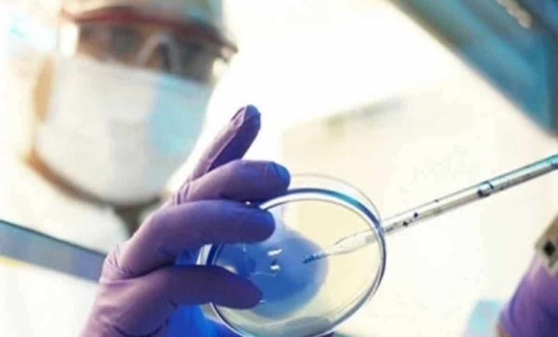 ​Dita ndërkombëtare e gatishmërisë epidemike