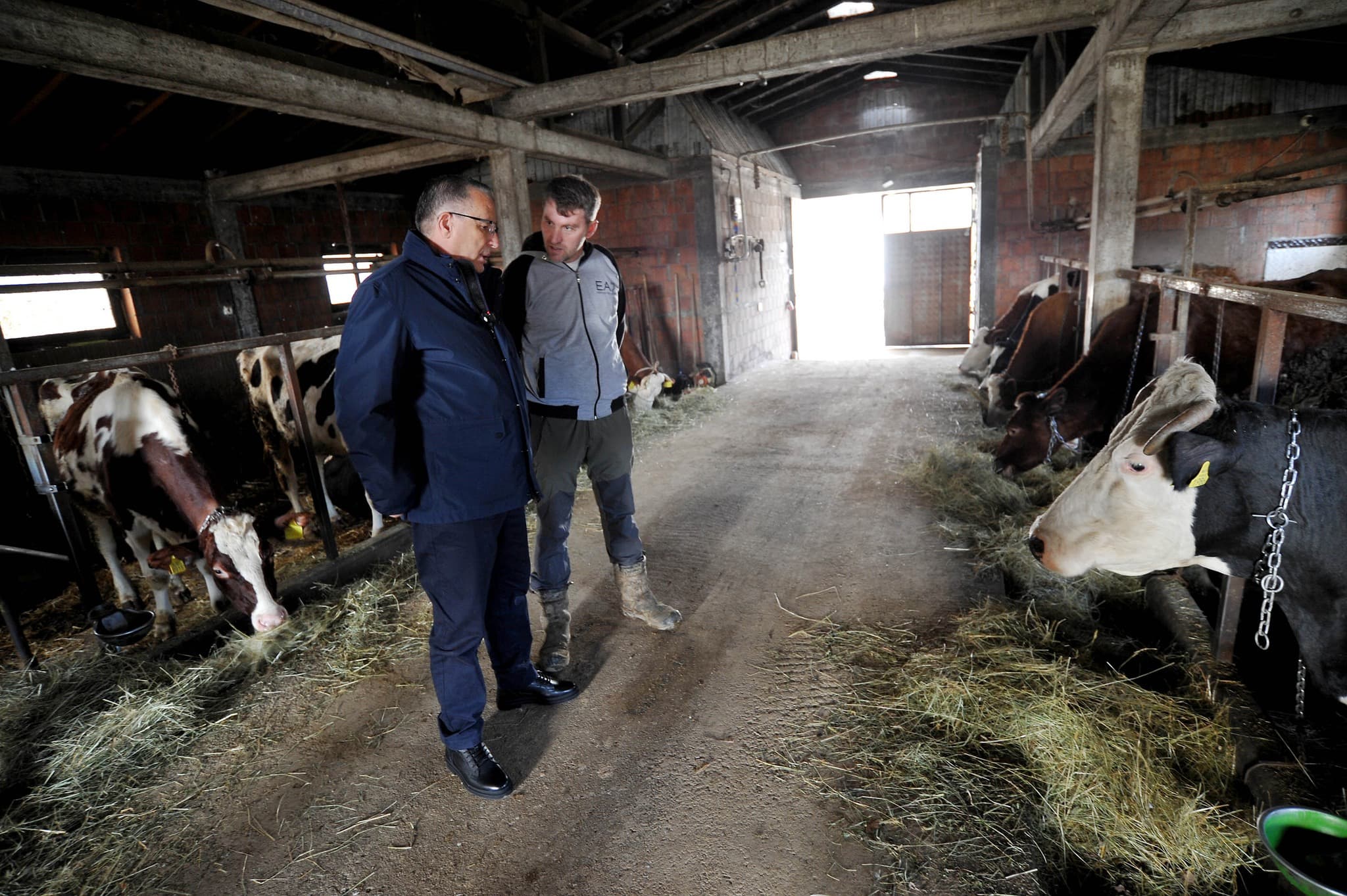Hamza viziton një fermë në Keqekollë: Kosova duhet ta rris prodhimin vendor
