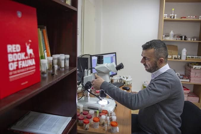 Profesori i UP-së zbulon edhe një insekt, e emërton Tinodes Lumbardhi