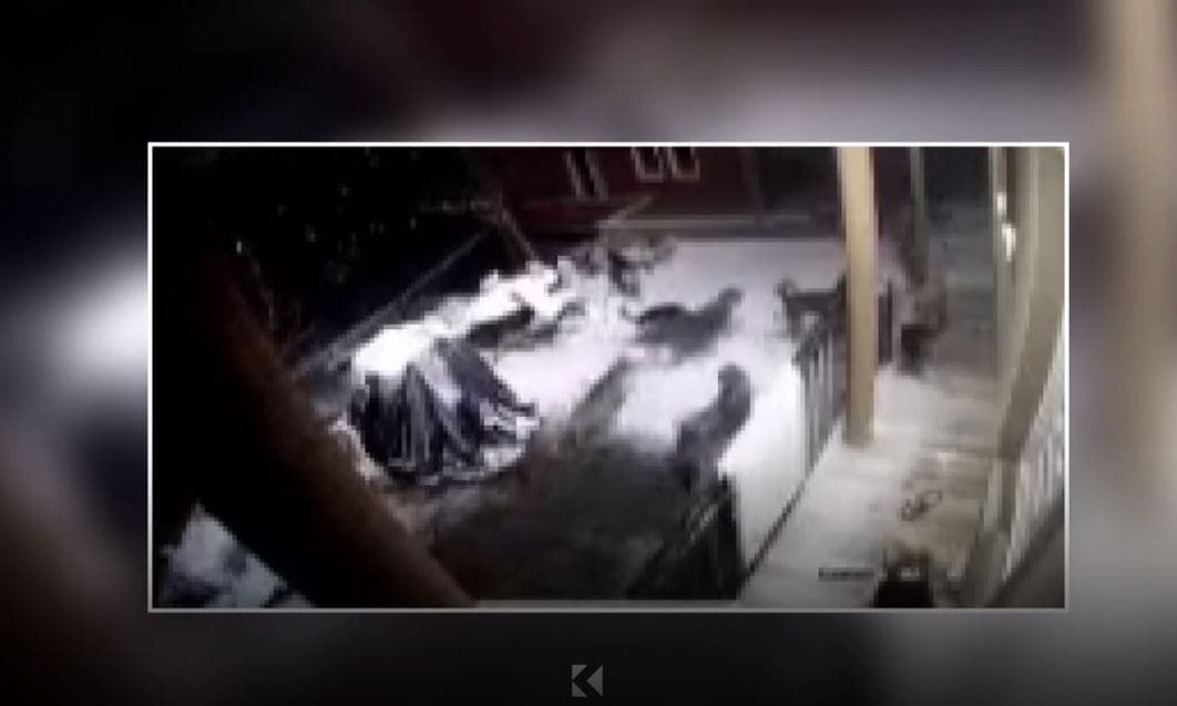 Banorët e Kolovicës në hall nga qentë endacakë, ndihen të rrezikuar (VIDEO)