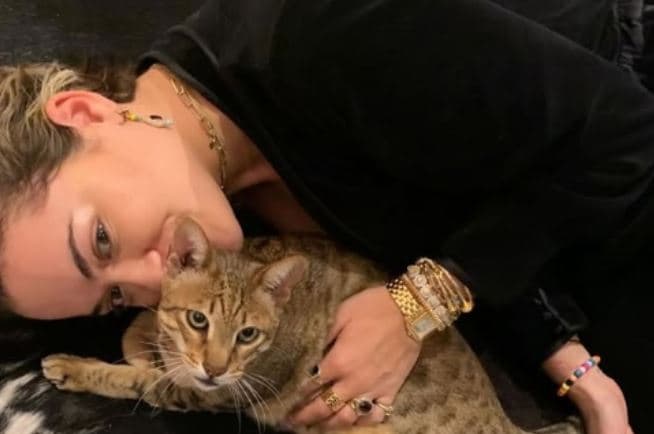 Rita Ora e pikëlluar për ngordhjen e maçokut të saj, ndan postimin prekës në Instagram