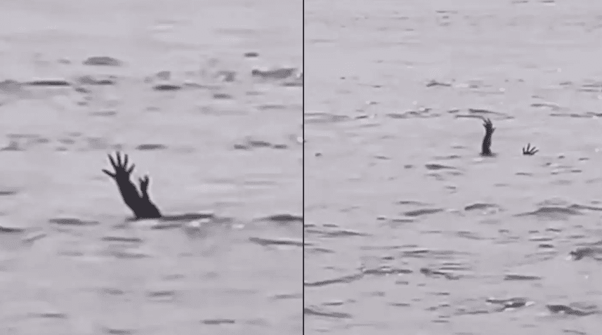 Krokodilët çojnë duart lart për t’i joshur njerëzit se dikush po mbytet? – Bëhet virale videoja