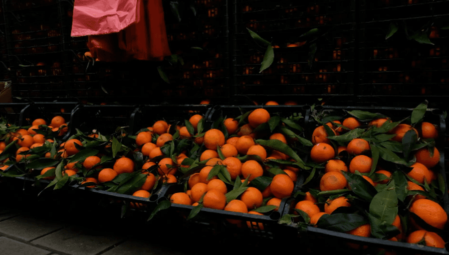 Rihodhën në treg mandarinat me pesticide, Gjykata e Beratit me vendim për tre të arrestuarit