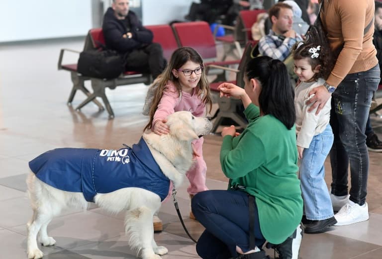 Qeni Zen që ndihmon udhëtarët e shqetësuar në aeroportin e Shkupit