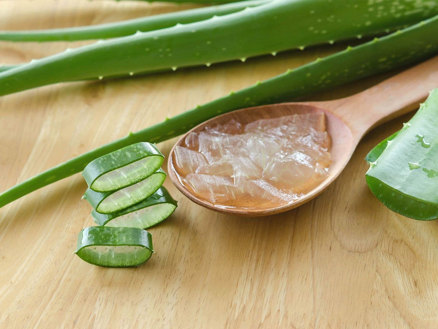 Aloe vera ndihmon në shërimin e plagëve