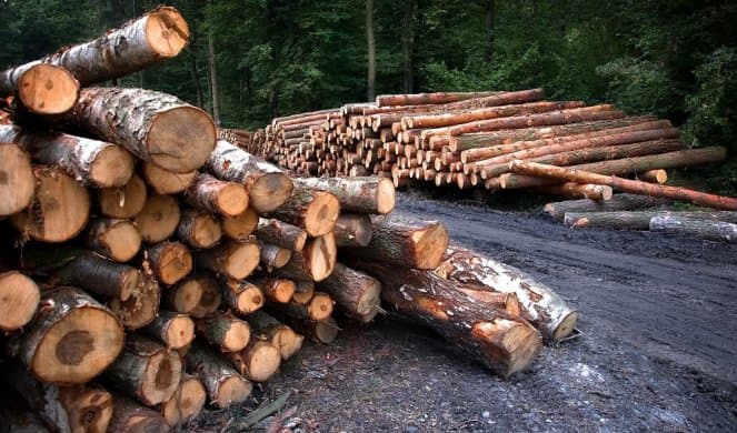 Raportohet se është arrestuar një shtetas i Kosovës nga Serbia, dyshohet për vjedhje të druve
