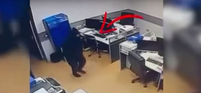 Vidhte banesa dhe biznese, kamerat kapin 57-vjeçarin, arrestohet nga policia