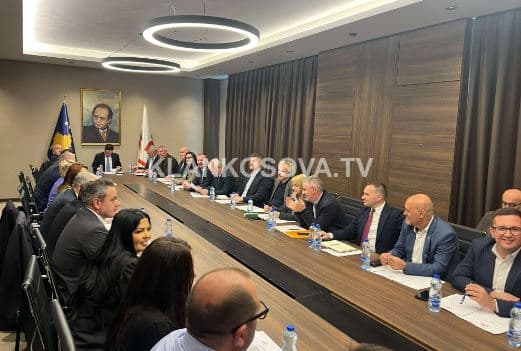 Nis mbledhja e kryesisë së LDK-së, Abdixhiku flet pas takimit