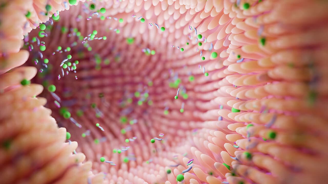 Rëndësia e ushqimit të shëndetshëm për mikrobiomën