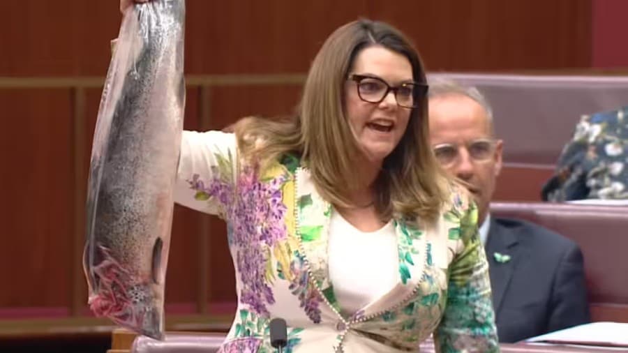 Senatorja australiane dërgon salmonin e ngordhur në parlament për të protestuar ndaj ligjeve bujqësore