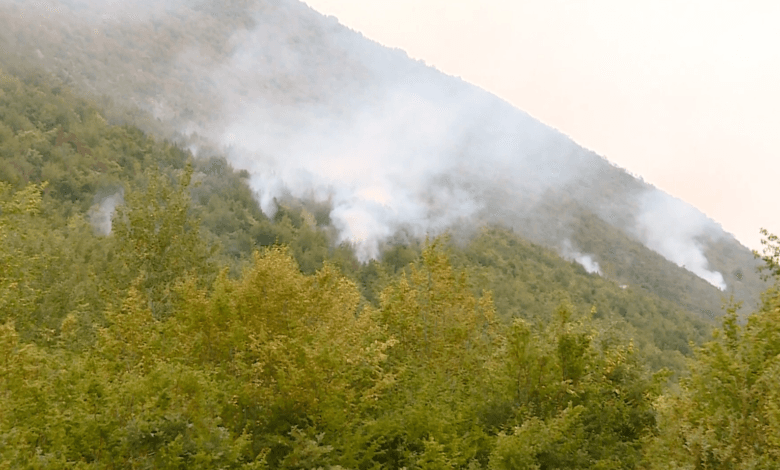 Gjatë fundjavës 60 zjarre në Maqedoninë e Veriut