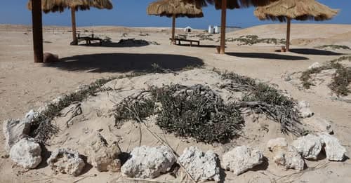 Shtytja turistike e Egjiptit e vë në rrezik plazhin kristal të pasur të Detit të Kuq