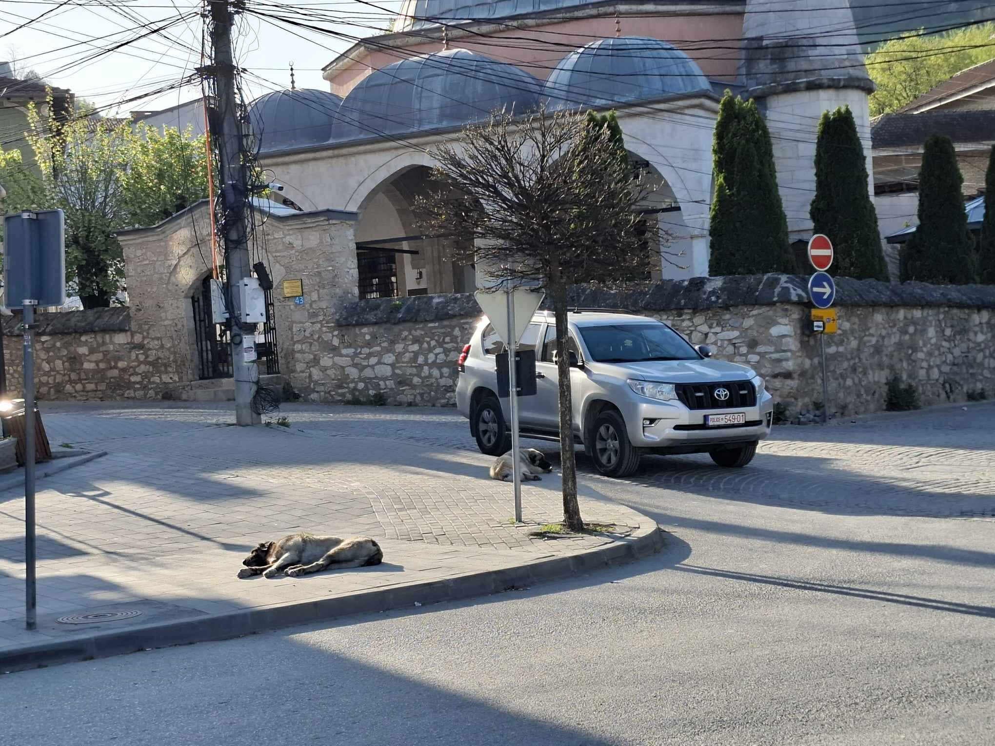 Vrasja e rreshterit Lika, kërkohet paraburgim ndaj të miturit