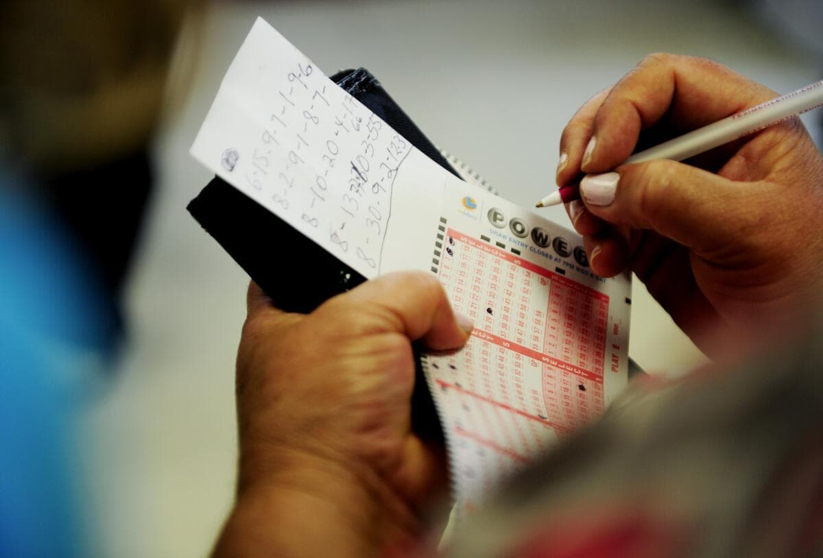 Bileta e gabuar i sjell 1 milion dollarë