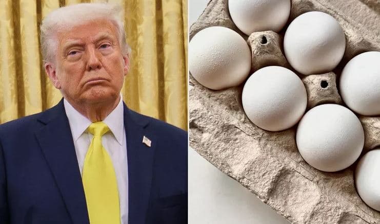 Donald Trump reagon ndaj kostos së vezëve në SHBA: Çmimet kanë rënë, askush nuk flet për to