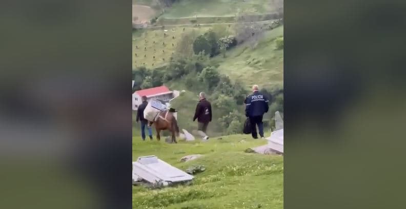 Votat në Bele të Kukësit transportohen me gomar (VIDEO)