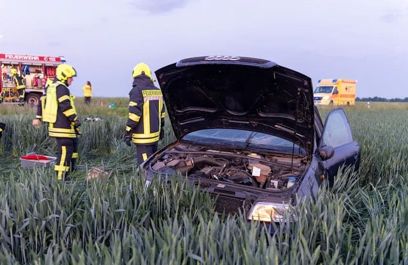 Audia përfundon në fushën me misër, policia e gjenë shoferin duke fjetur