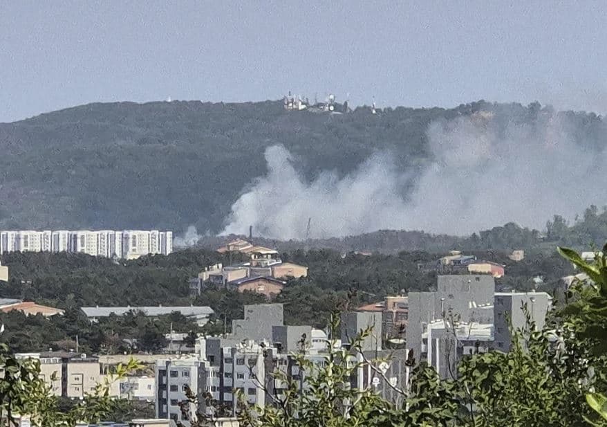 Aeroplani patrullues i marinës së Koresë së Jugut rrëzohet në jug të vendit